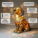 Złoty retriever